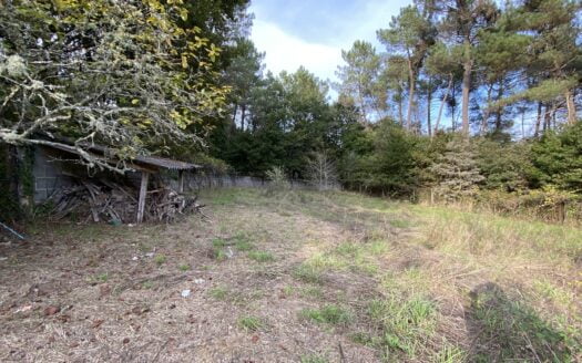 01274 – Ctra. Pontevedra, O Carballiño