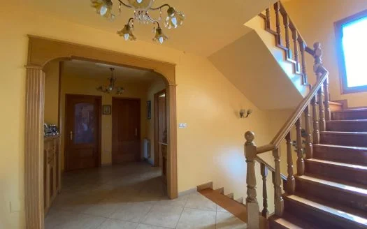 01324 – Corzos, O Carballiño