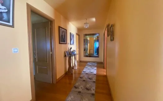 01324 – Corzos, O Carballiño