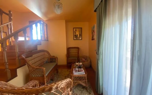 01324 – Corzos, O Carballiño