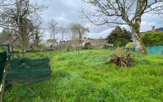 01355 – San Martin, San Cristovo de Cea