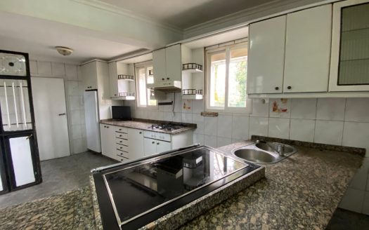 01355 – San Martin, San Cristovo de Cea