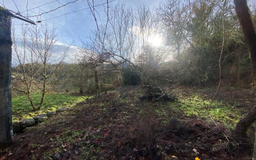 01356 – Veronza, Carballeda de Avia