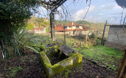 01356 – Veronza, Carballeda de Avia