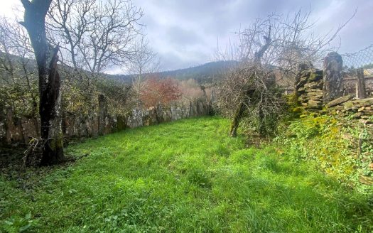 01353 – Vecoña, Boborás