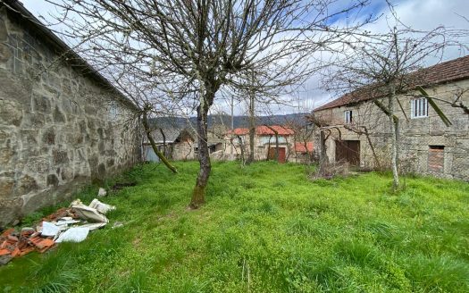 01355 – San Martin, San Cristovo de Cea