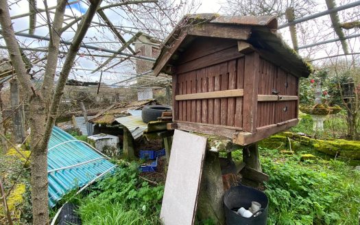 01355 – San Martin, San Cristovo de Cea