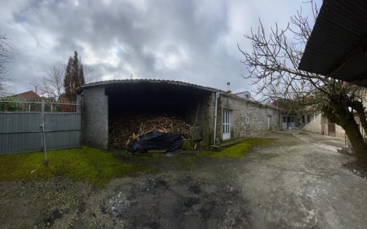 01355 – San Martin, San Cristovo de Cea