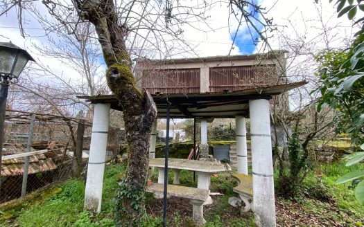 01355 – San Martin, San Cristovo de Cea