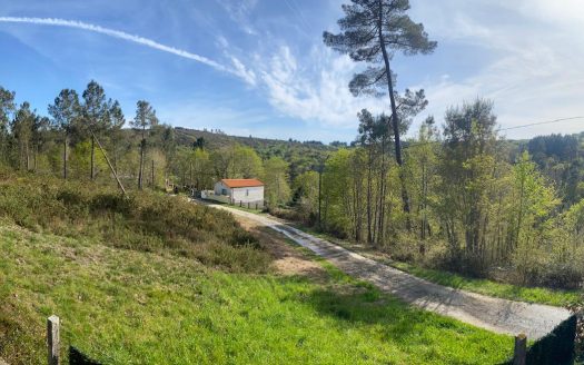 01354 – Meixe, Boborás