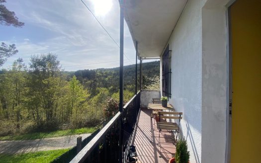 01354 – Meixe, Boborás