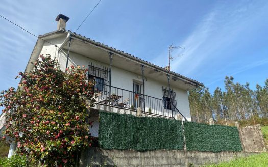 01354 – Meixe, Boborás